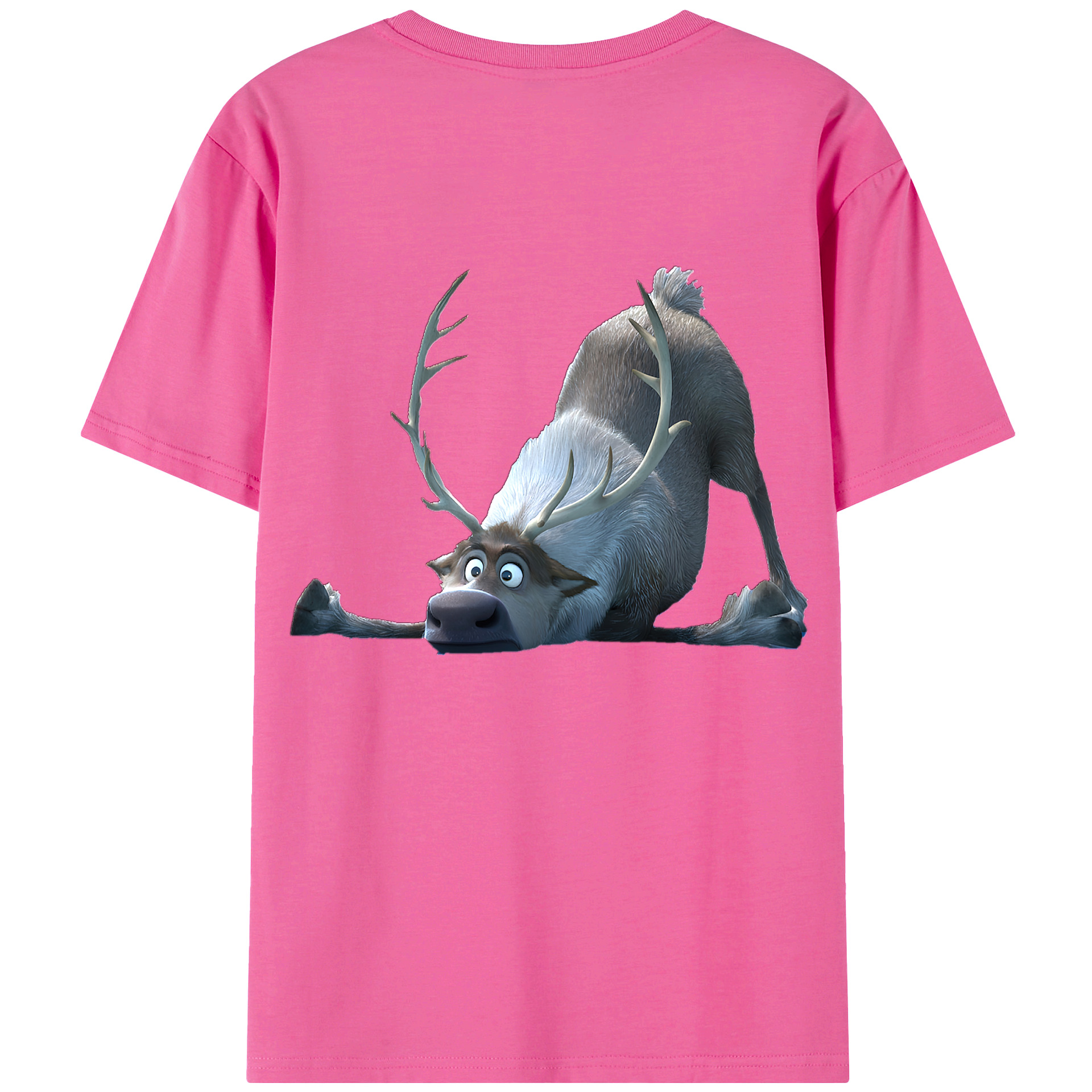 （画像用） アナと雪の女王 アンナ エルサ Frozen Anna Elsa レディース半袖Tシャツ(バックプリント)